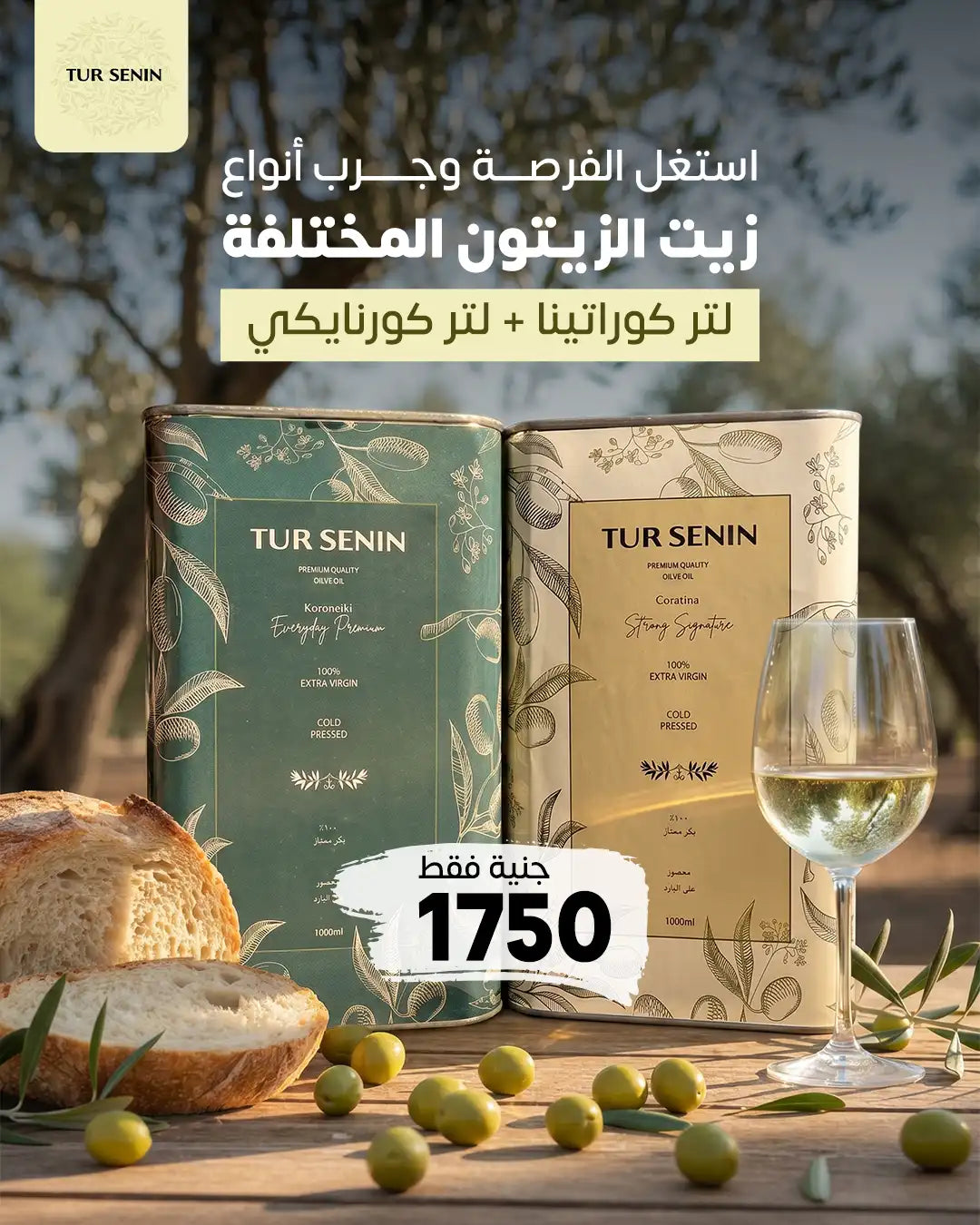 لتر زيت زيتون كوراتينا + لتر زيت زيتون كورونيكي