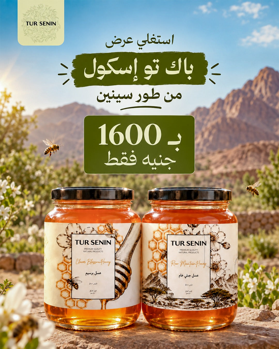 عرض عسل جبلي خام + عسل نوارة البرسيم